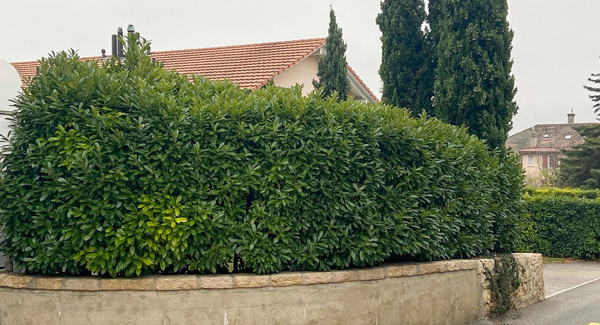 umgebung_vorher