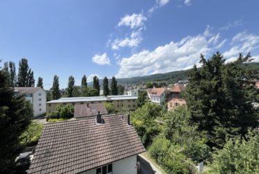 Attique de 2 pièces avec terrasse sur le toit