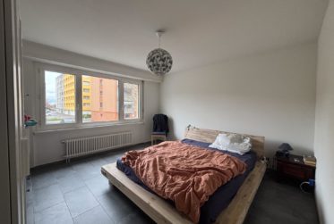 À louer : charmant appartement de 3 pièces – Le Landeron