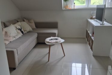 Wohnung, Einzimmerwohnung