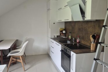 Wohnung, Einzimmerwohnung