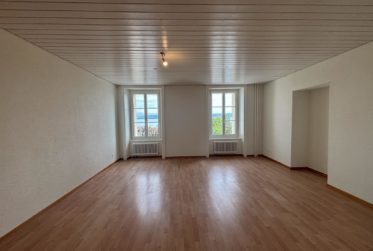 20150301 - Appartement 3 pièces avec vue sur le lac à St-Aubin-Sauges