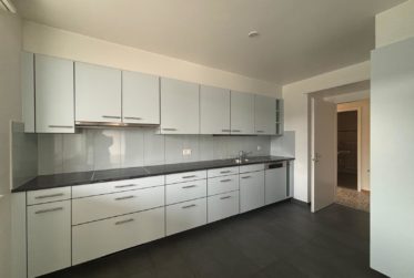 Grosszügige Familienwohnung zu vermieten