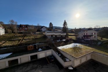 Renovierte 4.5 Zimmer-Wohnung