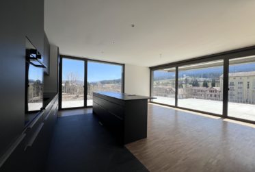 5.5 Zimmer-Attikawohnungen