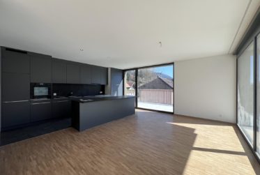 5.5 Zimmer-Attikawohnungen