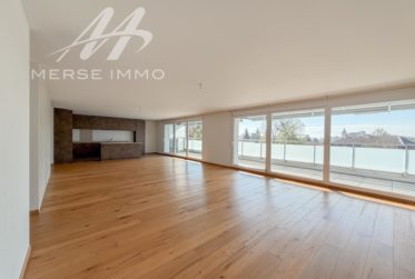 Helle Attikawohnung mit grosser Terrasse und freier Sicht