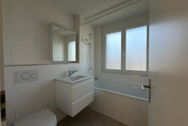 Renovierte 3-Zimmer-Wohnung