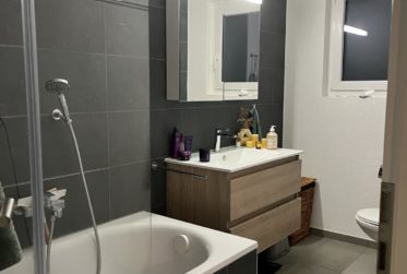 Grand appartement de 3.5 pièces avec balcon