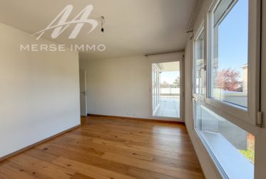 Helle Attikawohnung mit grosser Terrasse und freier Sicht