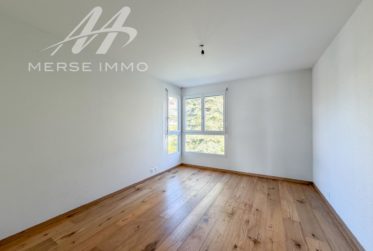 Helle Attikawohnung mit grosser Terrasse und freier Sicht