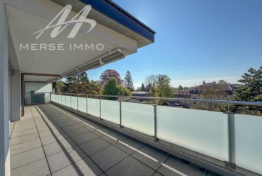 Helle Attikawohnung mit grosser Terrasse und freier Sicht