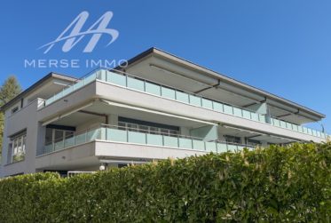 Helle Attikawohnung mit grosser Terrasse und freier Sicht