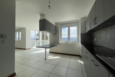 Wohnung, Renovierte Wohnung