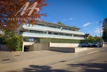 Helle Attikawohnung mit grosser Terrasse und freier Sicht