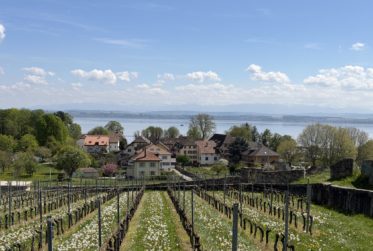 Charme et authenticité à deux pas du lac