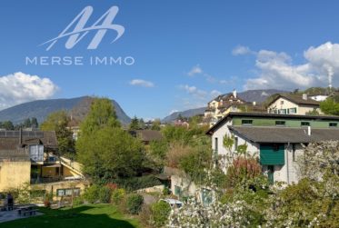 Helle Attikawohnung mit grosser Terrasse und freier Sicht