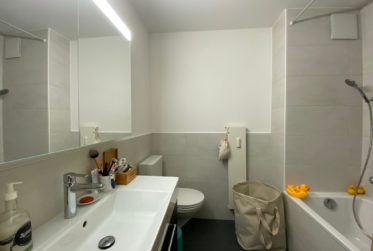 Zu vermieten – Wunderschöne 4.5-Zimmer-Dachwohnung im Stadtzentrum