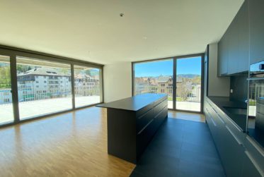 5.5 Zimmer-Attikawohnungen