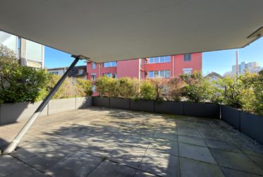 Appartement de 4.5 pièces avec terrasse