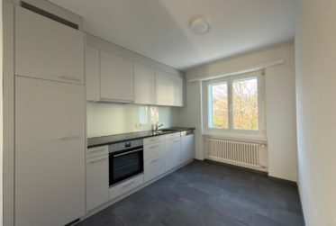 Appartement de 4.5 pièces avec terrasse