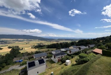 Wohnung, Renovierte Wohnung
