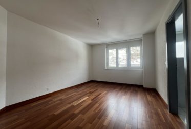 Wohnung, Renovierte Wohnung