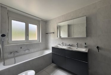 Wohnung, Renovierte Wohnung