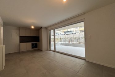 Wohnung, Einzimmerwohnung
