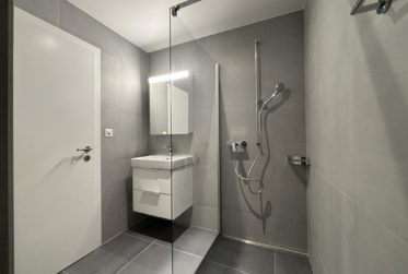 Wohnung, Einzimmerwohnung