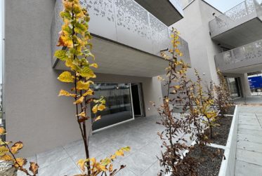 Wohnung, Einzimmerwohnung