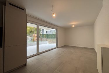 Wohnung, Einzimmerwohnung