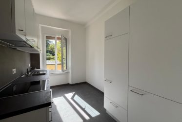 Charmant 3 pièces rénové à la Nelkenstrasse 4, Bienne