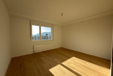 Appartement de 3 pièces au Mettlenweg 11, Bienne