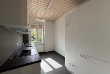 Charmante, 3-Zimmer-Wohnung an der Nelkenstrasse 4, Biel