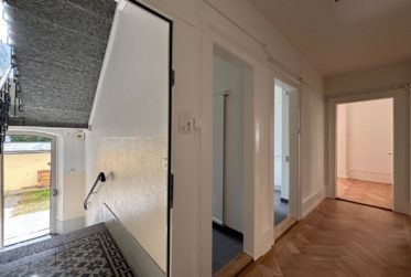 Charmant 3 pièces rénové à la Nelkenstrasse 4, Bienne