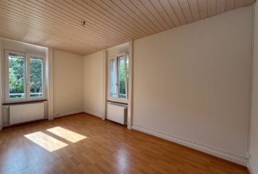 Charmante, 3-Zimmer-Wohnung an der Nelkenstrasse 4, Biel