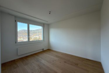 Appartement de 3 pièces au Mettlenweg 11, Bienne